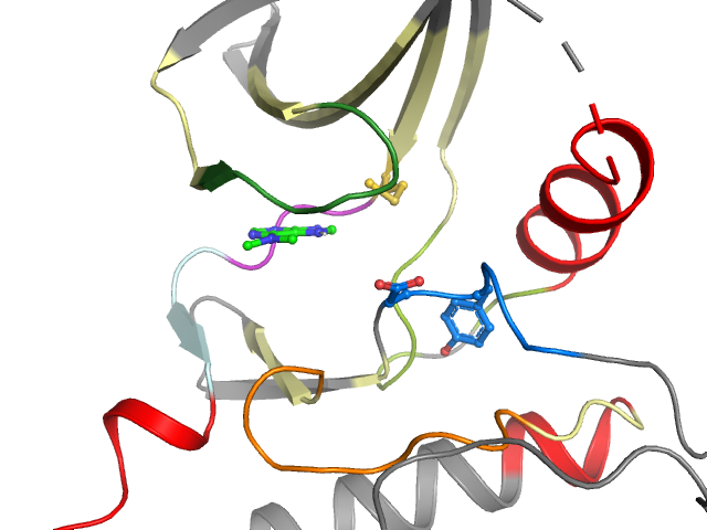 The orthosteric binding pocket