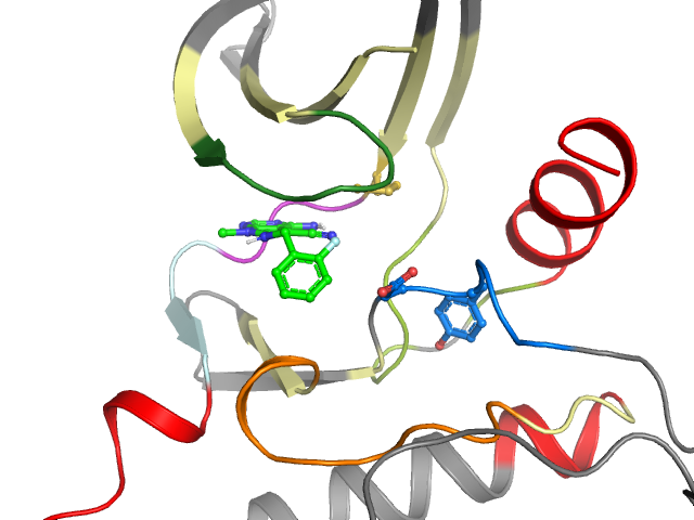 The orthosteric binding pocket