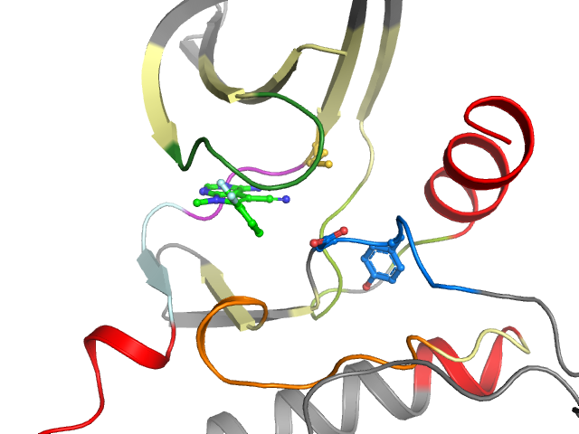 The orthosteric binding pocket