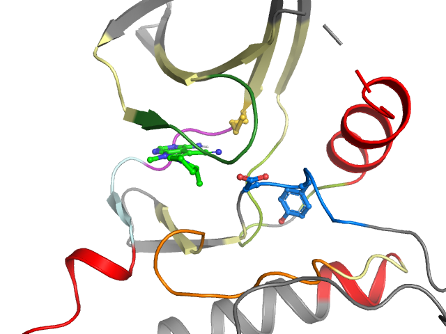 The orthosteric binding pocket
