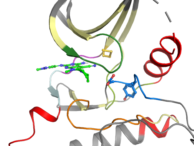 The orthosteric binding pocket