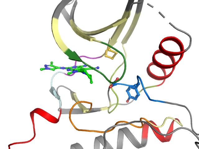 The orthosteric binding pocket