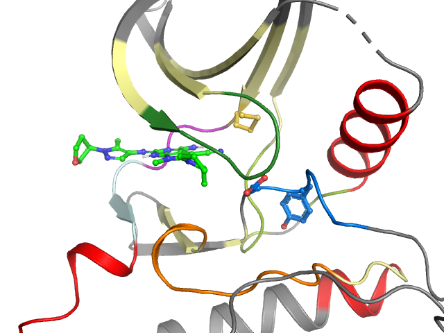 The orthosteric binding pocket