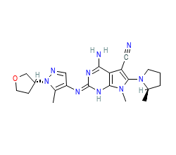 2D structure of the orthosteric ligand