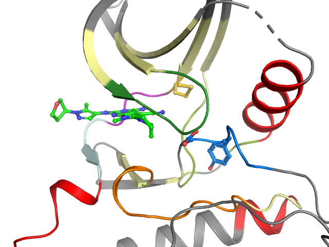 The orthosteric binding pocket