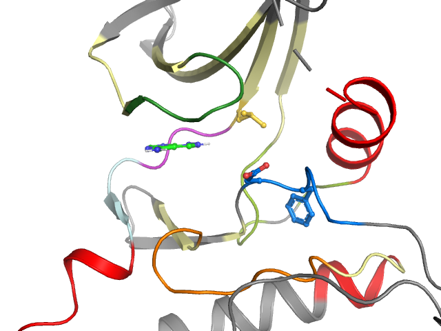 The orthosteric binding pocket