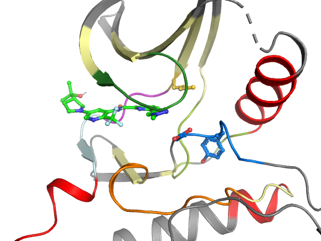 The orthosteric binding pocket