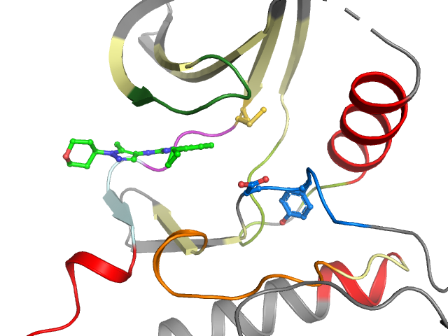 The orthosteric binding pocket
