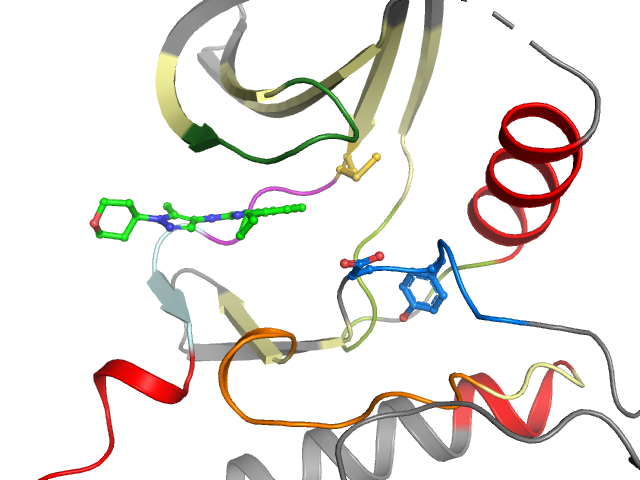The orthosteric binding pocket