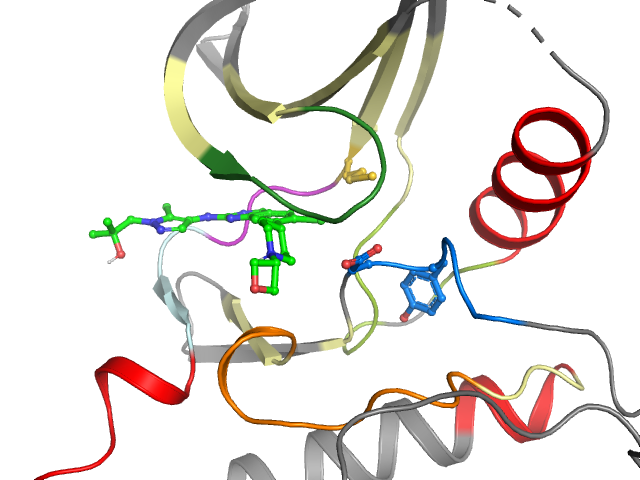 The orthosteric binding pocket