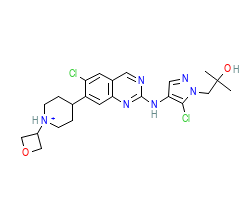 2D structure of the orthosteric ligand