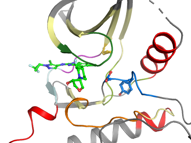 The orthosteric binding pocket