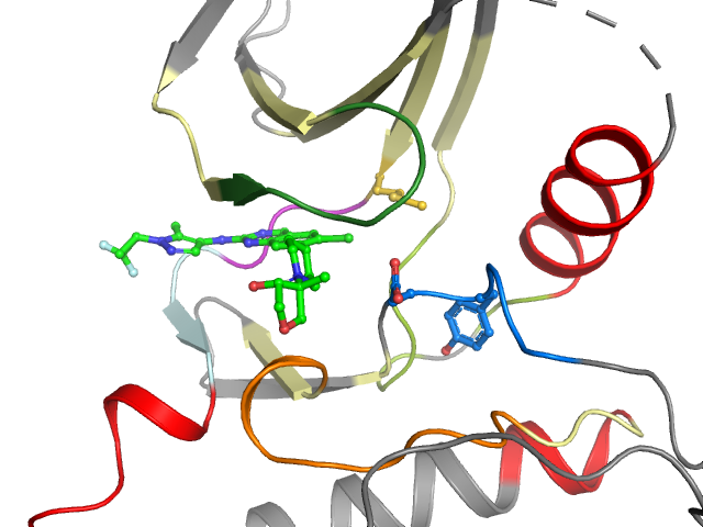 The orthosteric binding pocket