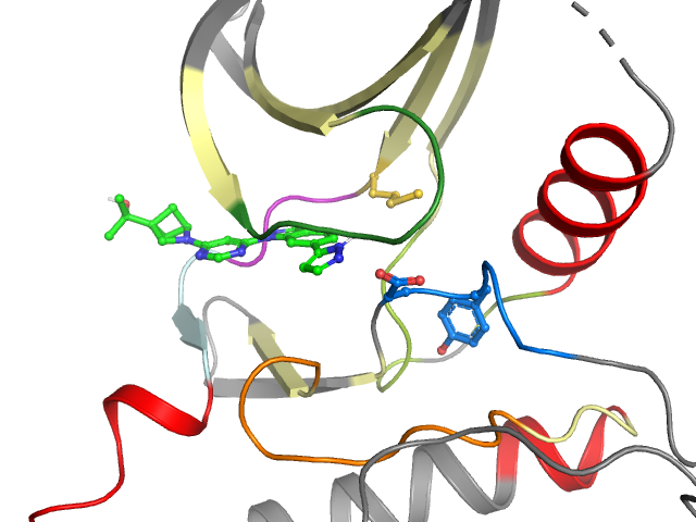 The orthosteric binding pocket