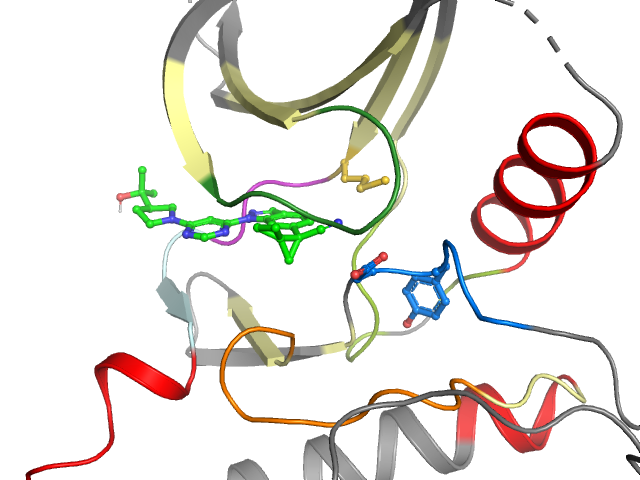 The orthosteric binding pocket