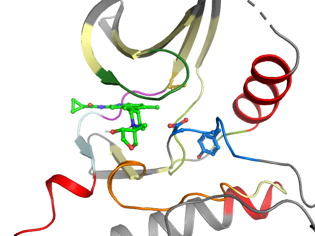 The orthosteric binding pocket