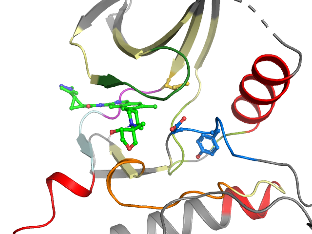 The orthosteric binding pocket