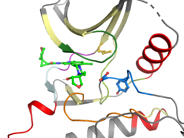 The orthosteric binding pocket