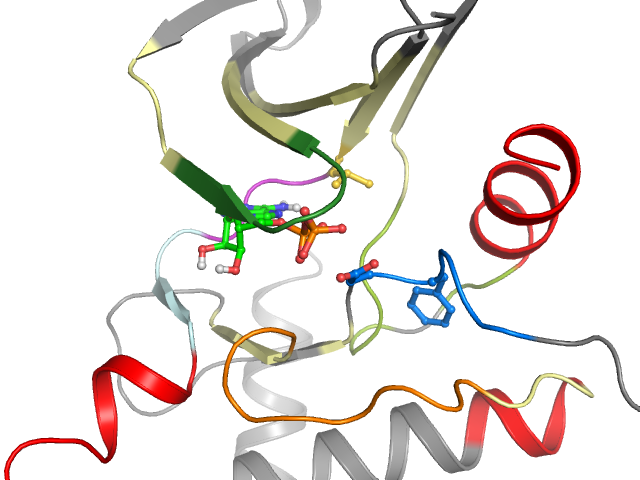 The orthosteric binding pocket