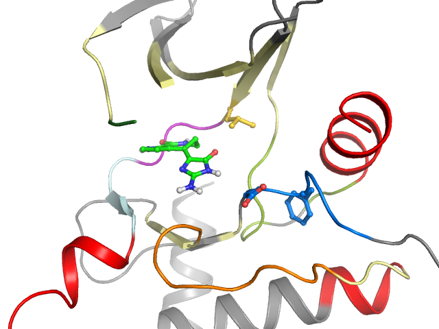 The orthosteric binding pocket