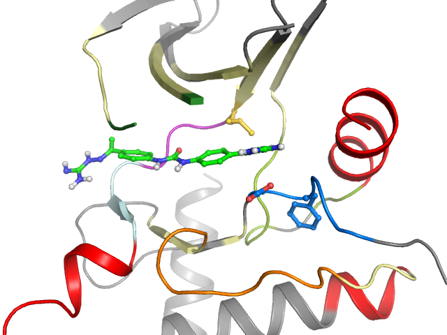 The orthosteric binding pocket
