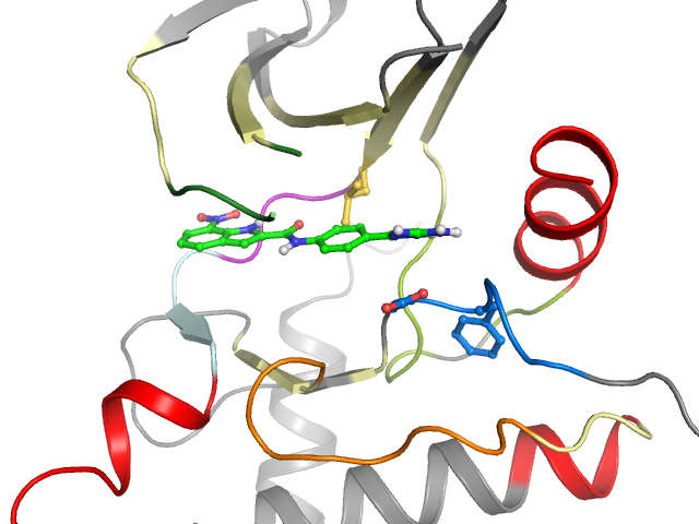 The orthosteric binding pocket
