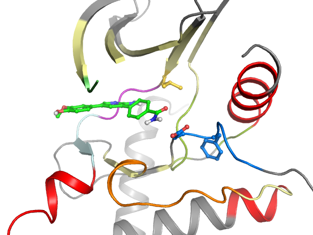 The orthosteric binding pocket