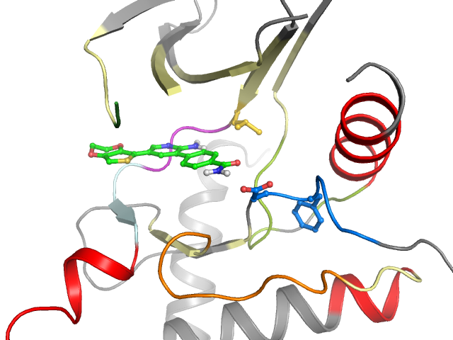The orthosteric binding pocket