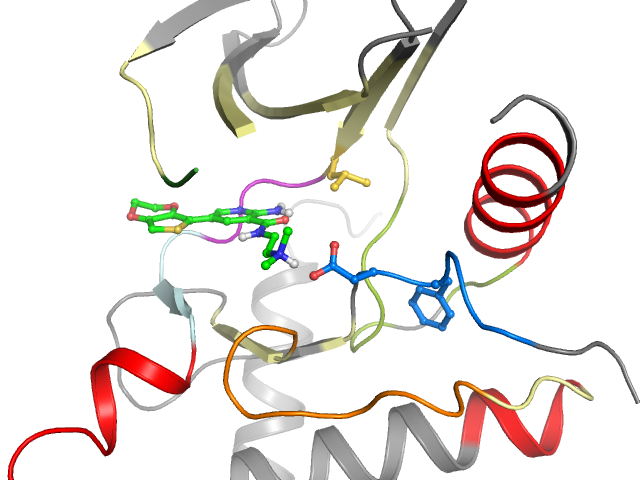 The orthosteric binding pocket