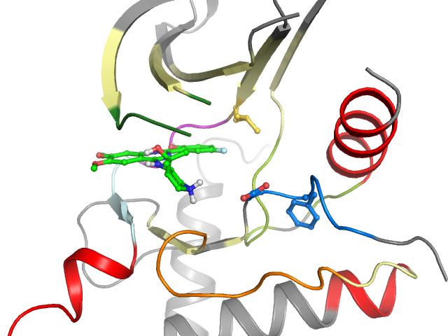 The orthosteric binding pocket