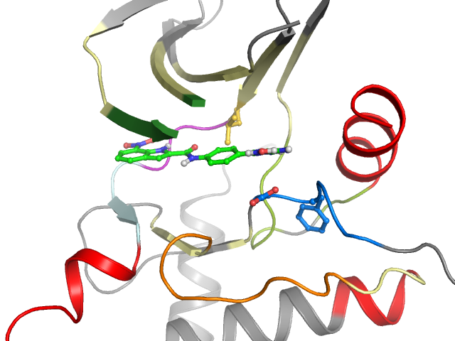 The orthosteric binding pocket