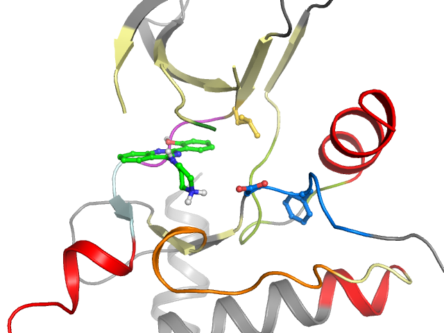 The orthosteric binding pocket