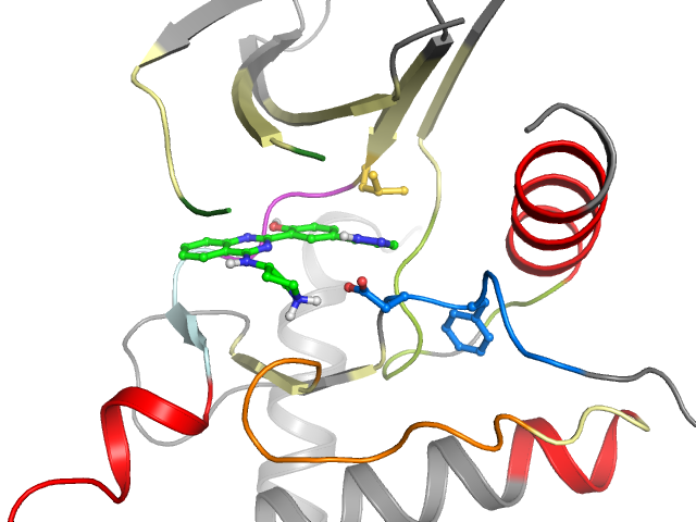 The orthosteric binding pocket