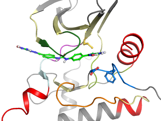 The orthosteric binding pocket