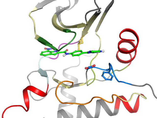 The orthosteric binding pocket