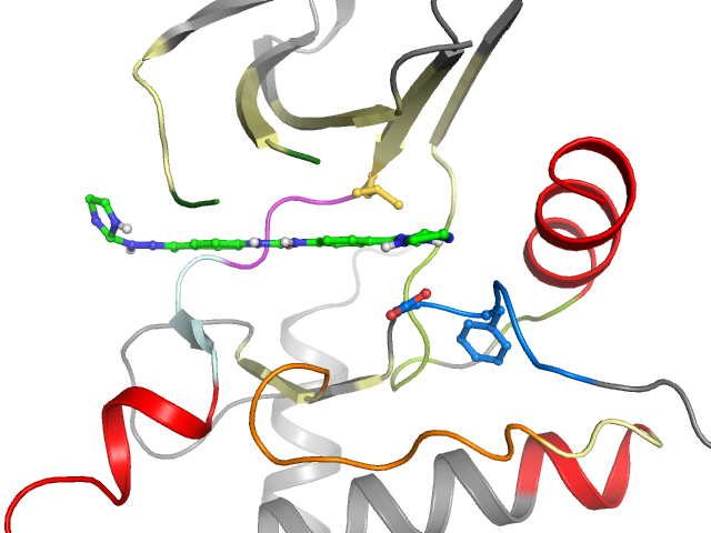 The orthosteric binding pocket