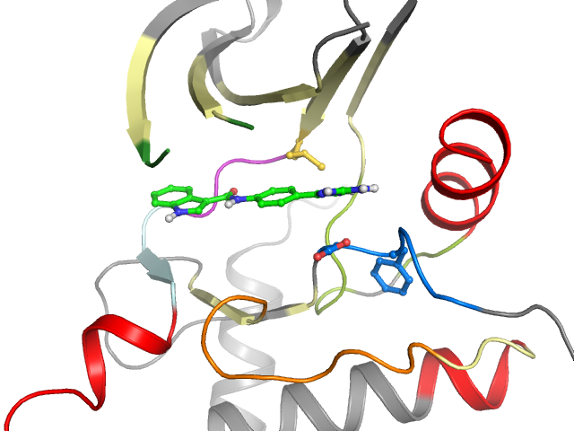 The orthosteric binding pocket