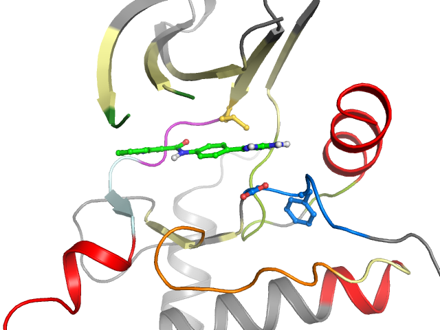 The orthosteric binding pocket