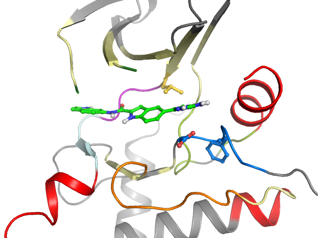The orthosteric binding pocket