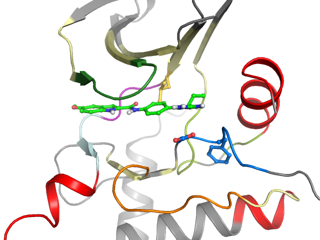 The orthosteric binding pocket