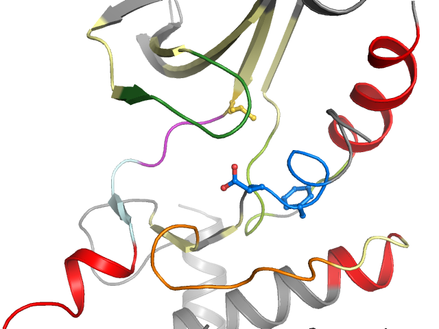 The orthosteric binding pocket