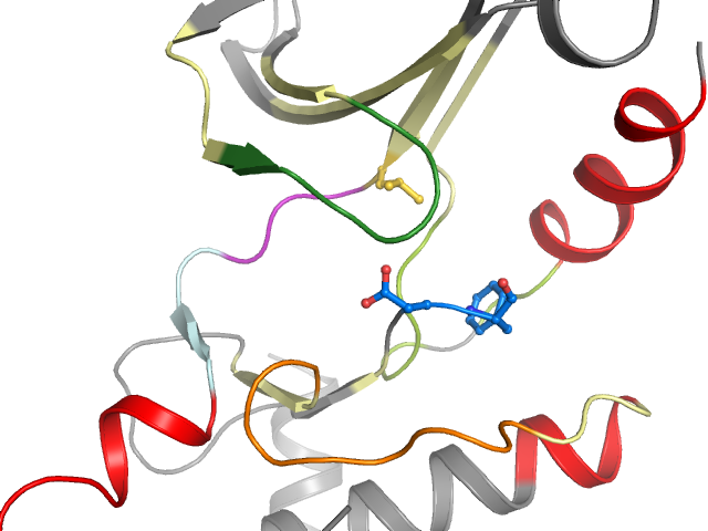 The orthosteric binding pocket