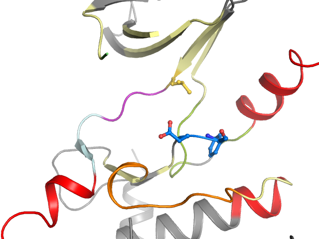 The orthosteric binding pocket