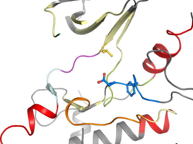 The orthosteric binding pocket