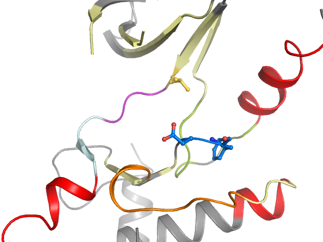 The orthosteric binding pocket