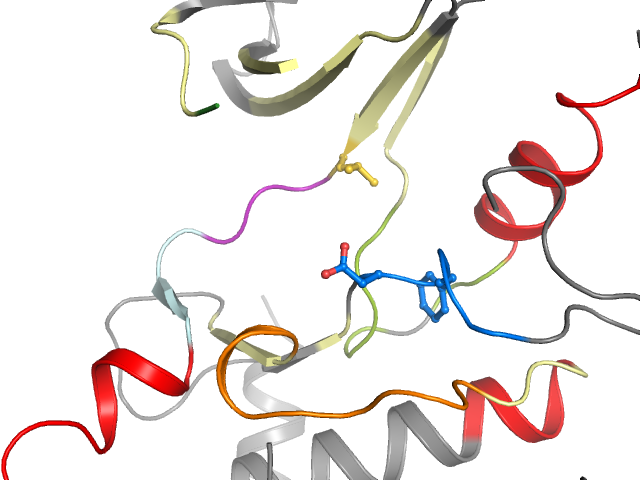 The orthosteric binding pocket