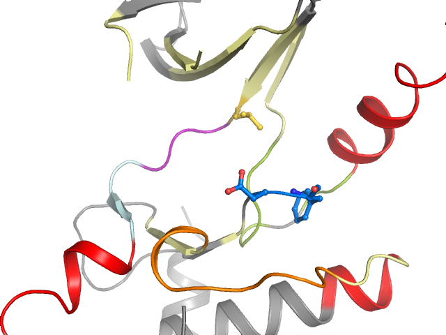 The orthosteric binding pocket