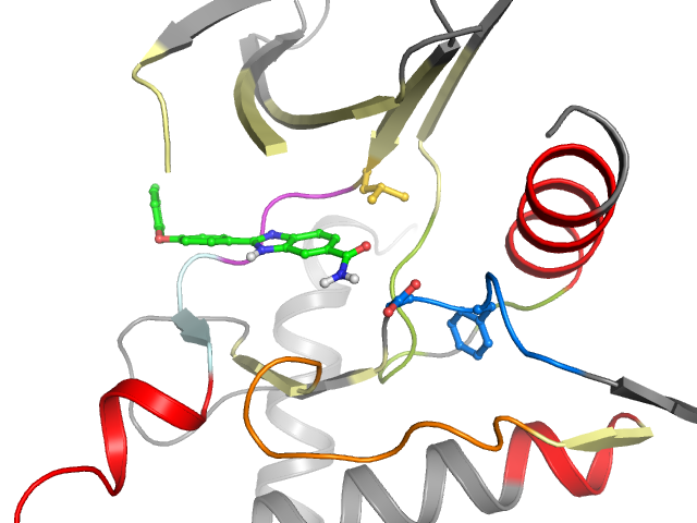 The orthosteric binding pocket