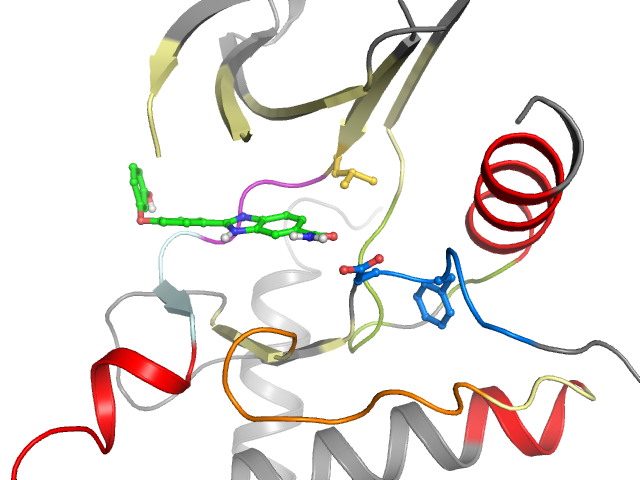 The orthosteric binding pocket