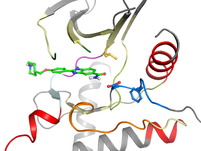 The orthosteric binding pocket